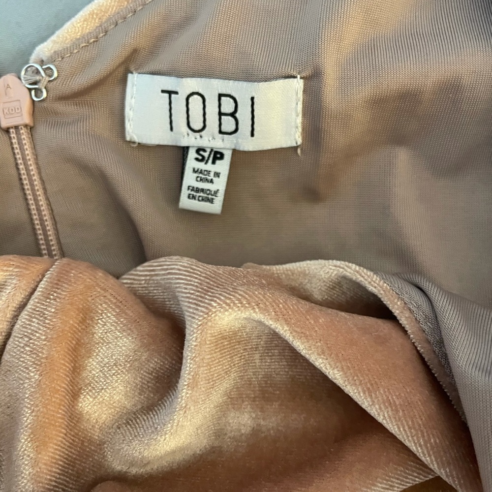 (NWOT) Tobi Terrell Velvet Shift Dress - Rose - Picture 5 of 5